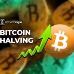 Bitcoin Halving nieuchronny, co dalej z kryptowalutami?